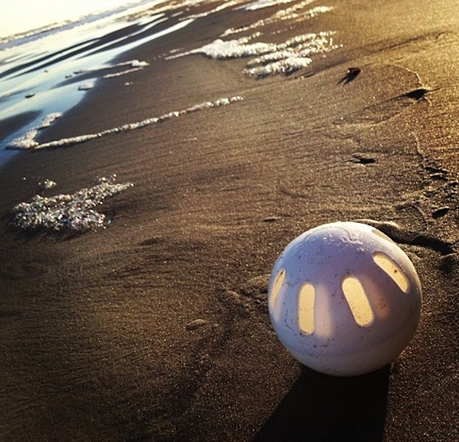 You have this picture framed in your bathroom. 