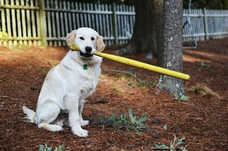 You played with anyone that could hold a bat. 