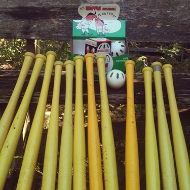 These bats all look completely different to you. 